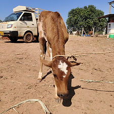 72bd4726-598e-41fa-92e6-958a20058ece