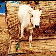 813b075d-adc9-41fe-a844-c4a381a39eef