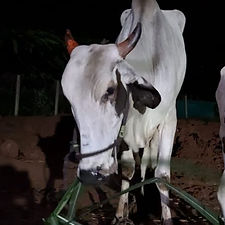 42630174-525c-45aa-b4f1-6439481d60f5