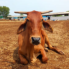 36629fe9-5cfd-4ef9-9314-a1bcd96572b0