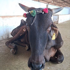 4c1deac9-8e27-4258-abc2-c7e873a4e905