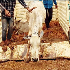 ef155e1f-ef88-4406-a68d-71bbc9bd7791