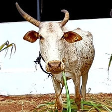 c9063213-15f6-4633-9298-64ddccf33c57