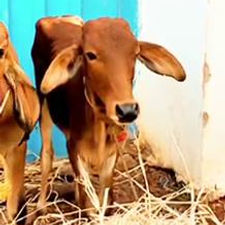 47cafeea-8ba2-493e-9f60-835a45f6417e