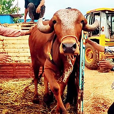 343060de-5a2f-475d-bb80-a0a275053290