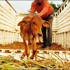 d3abdee5-987b-4dac-a7a9-d435ebeaea9d