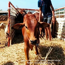 c7672d9c-3684-4b1a-a563-f7d9e1b3a3a2