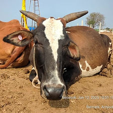 cf27c0e3-c2c5-4912-8b17-4adb3b141e34