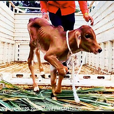 933798da-40d9-4bfd-813e-0539596b6fe5