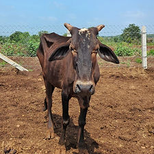 90686ecb-cf37-407c-9e58-52381a1cb8d2