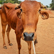 807839d1-fe96-42d4-ac8b-584c4df3763e