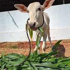 307d9393-a178-4ab5-989f-159f87d7e9cf