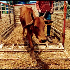 e8947c41-22a5-45f8-8996-21ade2795a9d