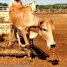 29f4d36b-a9c7-4eb7-b8e9-d023546250d9