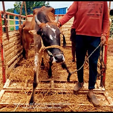 e085a0a1-312b-411f-88a7-fc1bb1f330ea