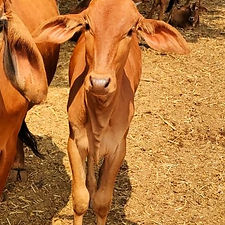 94f933ee-7c3d-4037-88cb-54794bb74be9