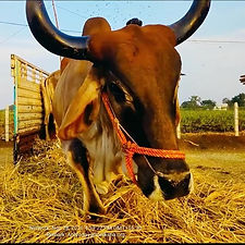 5331e31f-00d4-4403-b359-a203a4c17400