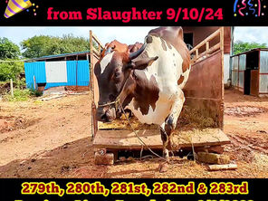 [09 Oct 2024] Five Lives Saved