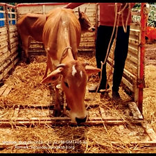 95a7bb45-db91-4898-a028-6eb0a0790d73