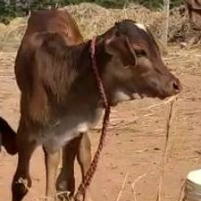 1957c773-8601-4a9a-93b5-49de06ecf1f1