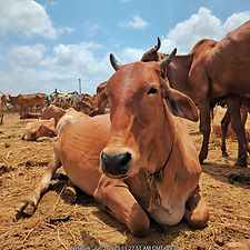 63907ce8-12e3-4cb6-b7be-adf07b16b55d