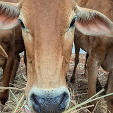 8fb18a95-80a9-4fe4-b29c-ee41b720b18e