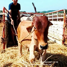 586997a4-5557-4ceb-bc4c-df6fe1c7d616