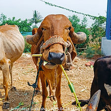 bf1f0a1e-c973-47ed-9bb5-5648a662bced