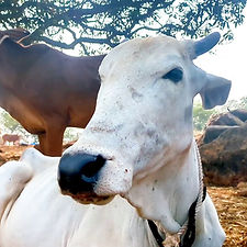 422cff78-c3bd-438d-a08f-05ac0f196e70