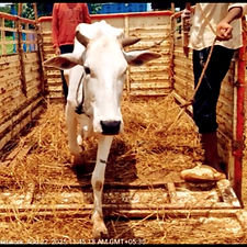 7b8ddf2d-8599-48a3-98ab-0f3ea7eb9846