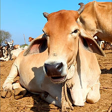 3c11a612-2d7f-4be5-bbc0-5bba607c81bb