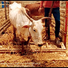 29e5cb91-eb0d-4466-a5ed-4dd7c1d50416