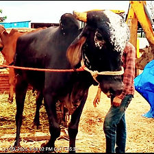 b20d3d75-3414-41d5-b03d-d1f9182a3b44