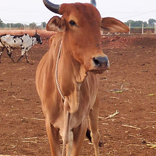 4369ada0-04cc-4178-bc58-8241e9792e55