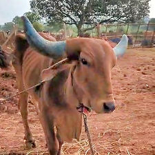 40bd989c-f2b4-4c9e-a799-c37549b6e45f