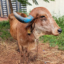 3b624b05-29bd-4245-b914-d07a3c687706