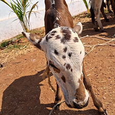 31252491-93a5-4111-b353-dde5cdec2ed9