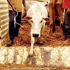 190e6dc5-9ae3-46b4-b658-c84eb79ee587