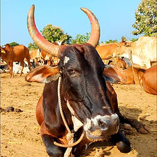 9e9265b6-3a5f-4082-bce6-34f5d36905a5