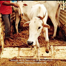 8a4db5e5-3256-4602-bda8-bbe8567e6321