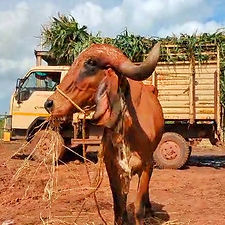 7ca4cf7d-34b6-4d8d-9ad0-548ae897d233