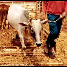 982ea5f8-ccc1-40f9-a926-af9944a60590