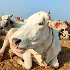 21732708-4112-46d1-997f-9adbb4b708db