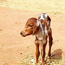 67bee0ae-1c41-4f2b-b38d-2af93b990ea7