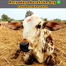 591b5564-447a-4750-b45c-131ee9486d74