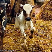 90a0e25f-ed68-49e0-943b-c733cda4cc05