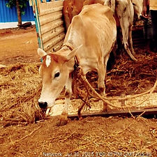 4f417fcb-bd0f-47a9-9524-c657d3917180