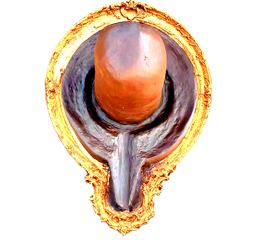 Saikata Lingam in Goshala 2024-12-16_edi