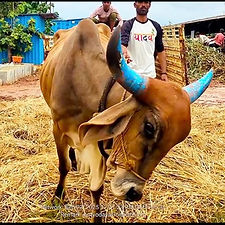 1ca20d3b-1d4e-4014-99da-c4d9c4d71a3a