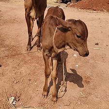 5e7171ae-e354-40be-80f7-8309f116f612